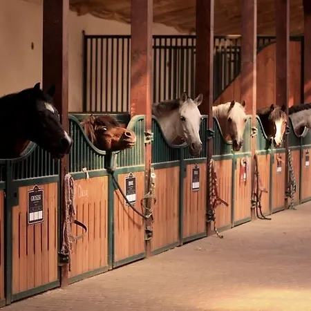 Resort Restauracja Bialy Wierzbna *